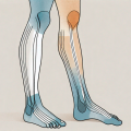 Compression stockings on a pair of legs